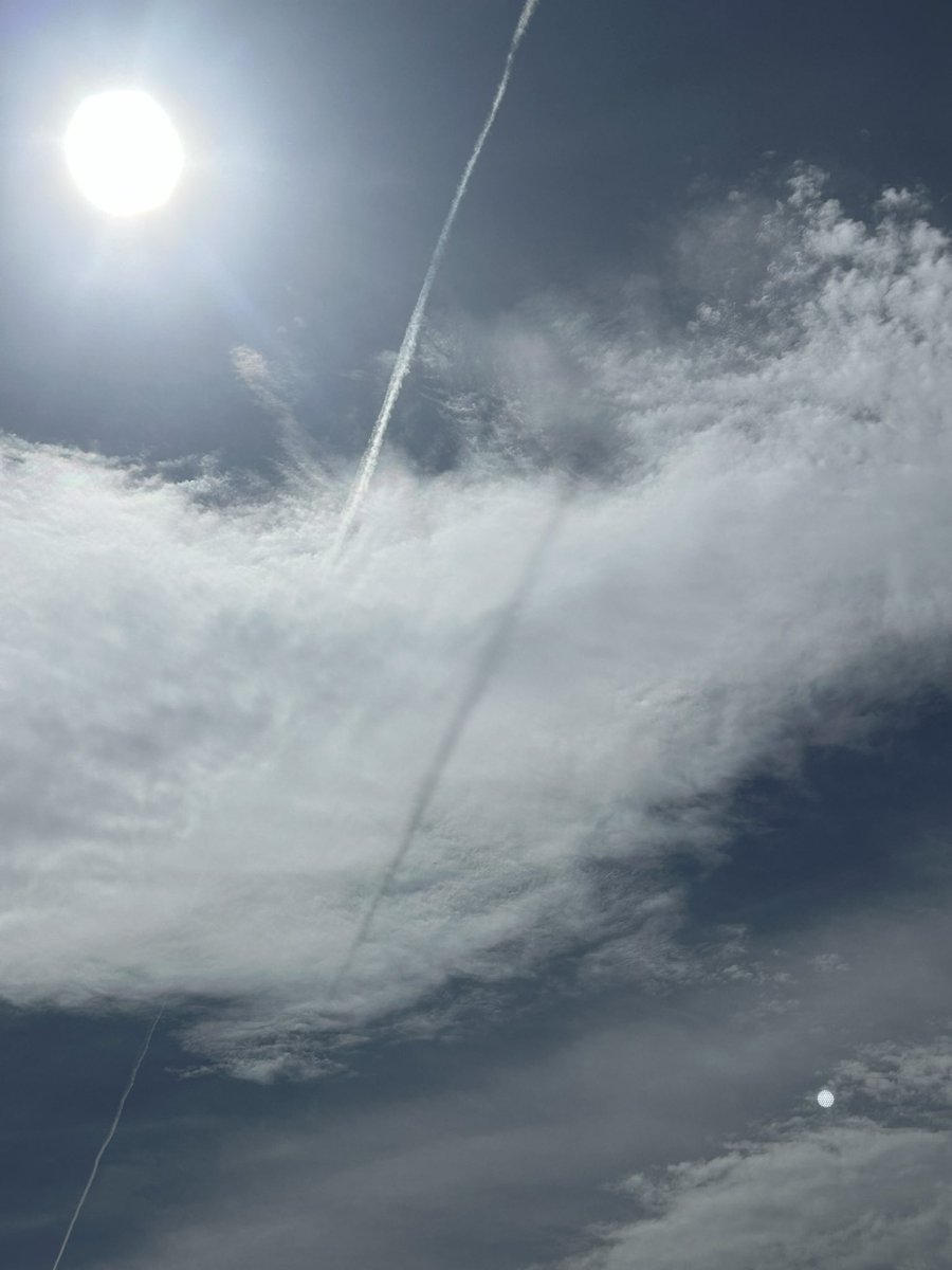 KankanGirl tweet media