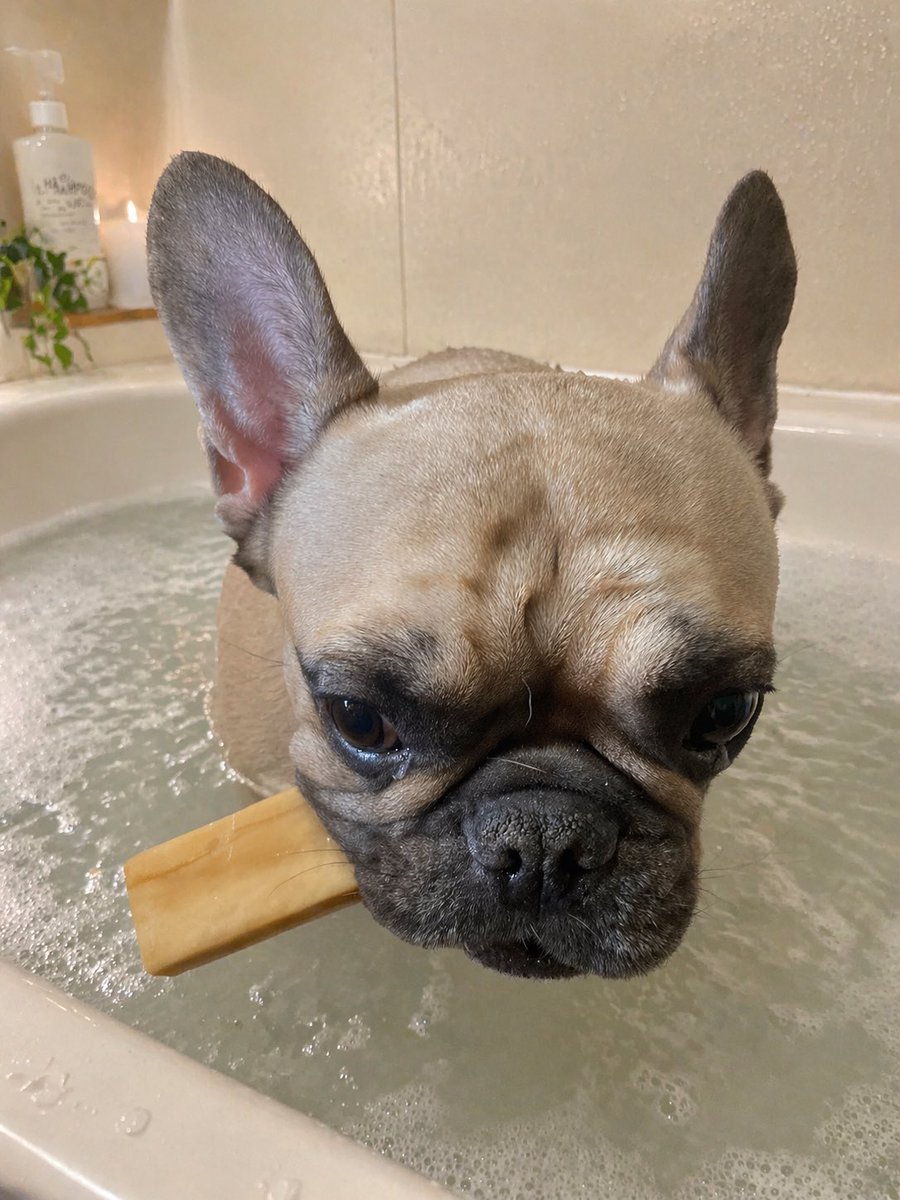 マー君鼻ベチャ短足ファミリーパパ除く！ tweet media