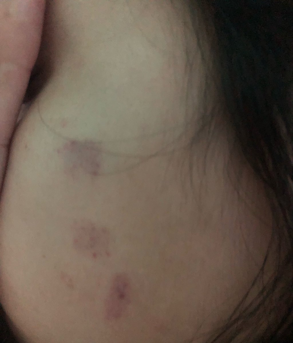 max bissexual tweet media