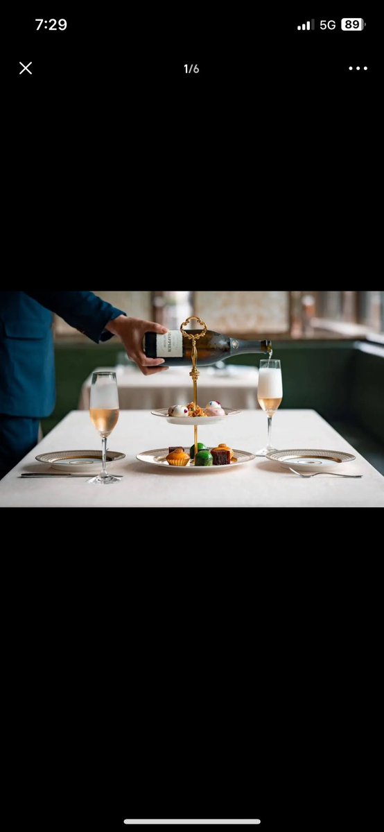 上海パンダ🍾 tweet media