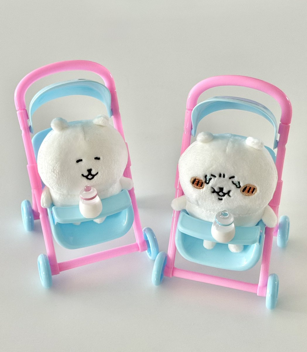 멜론곰 tweet media