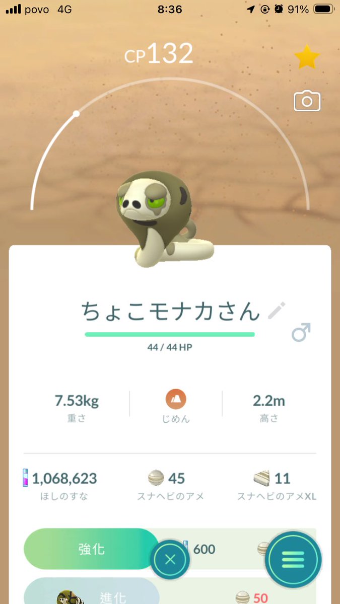 とろさん⭐︎@ポケモンGO tweet media