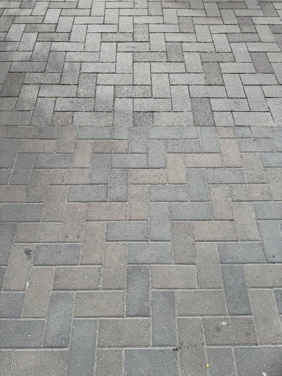 🍻たぬ吉🍻 tweet media