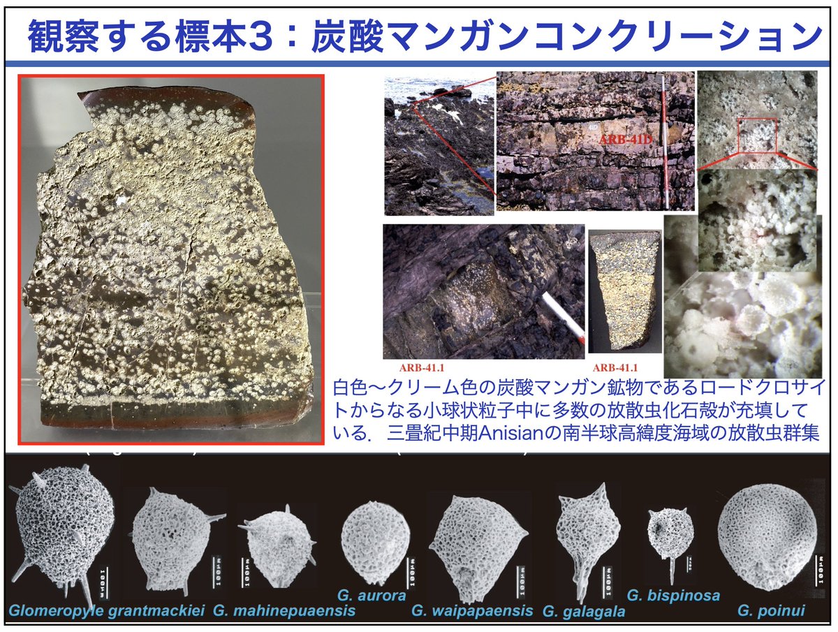 Yoshiaki AITA　相田吉昭 tweet media