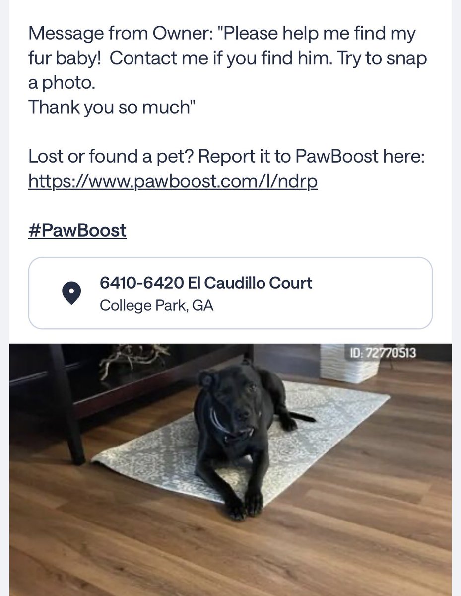 YuriyATL's tweet image. #Atlanta 🐕