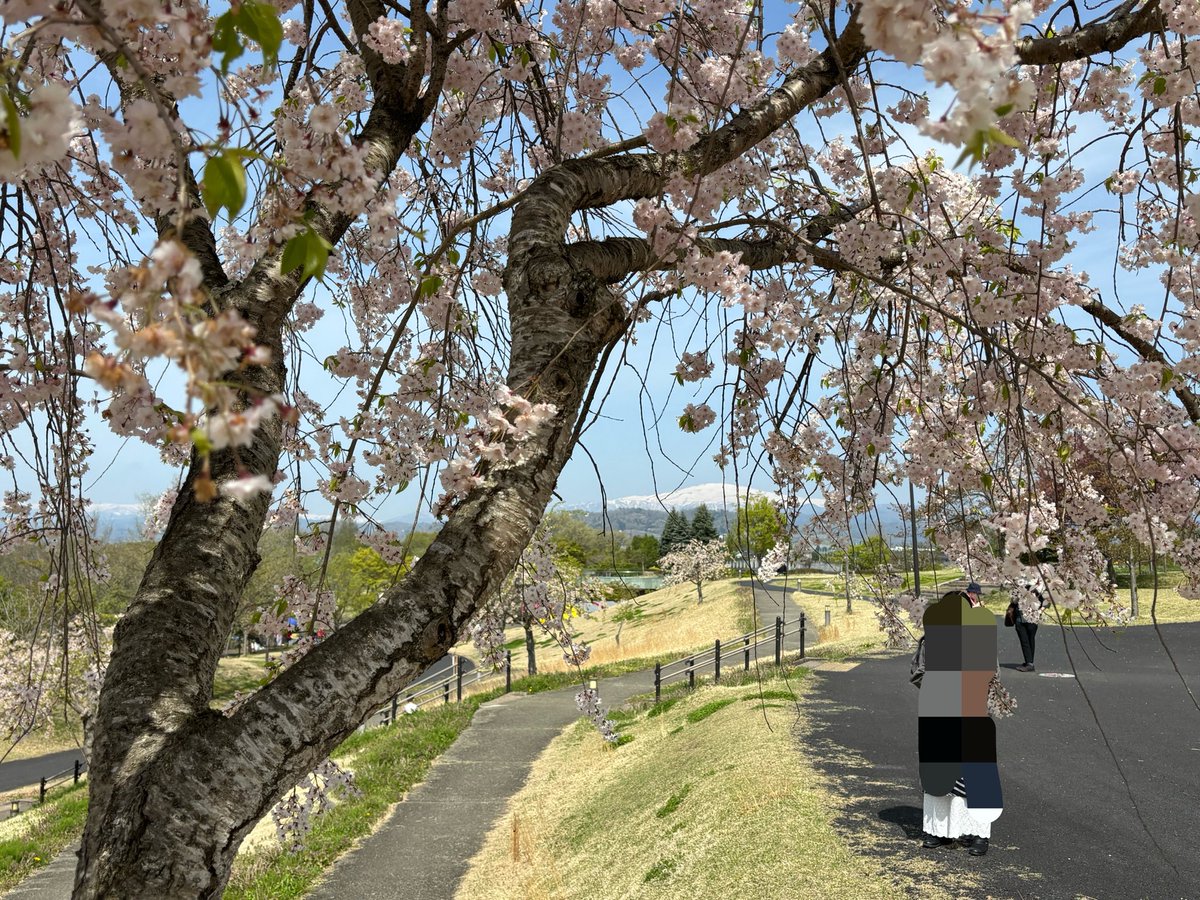 ぬこどん tweet media