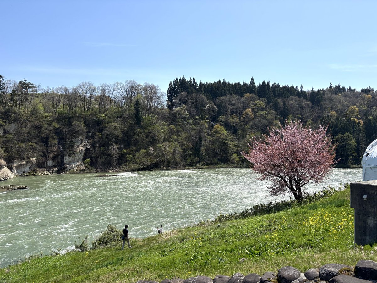 ぬこどん tweet media