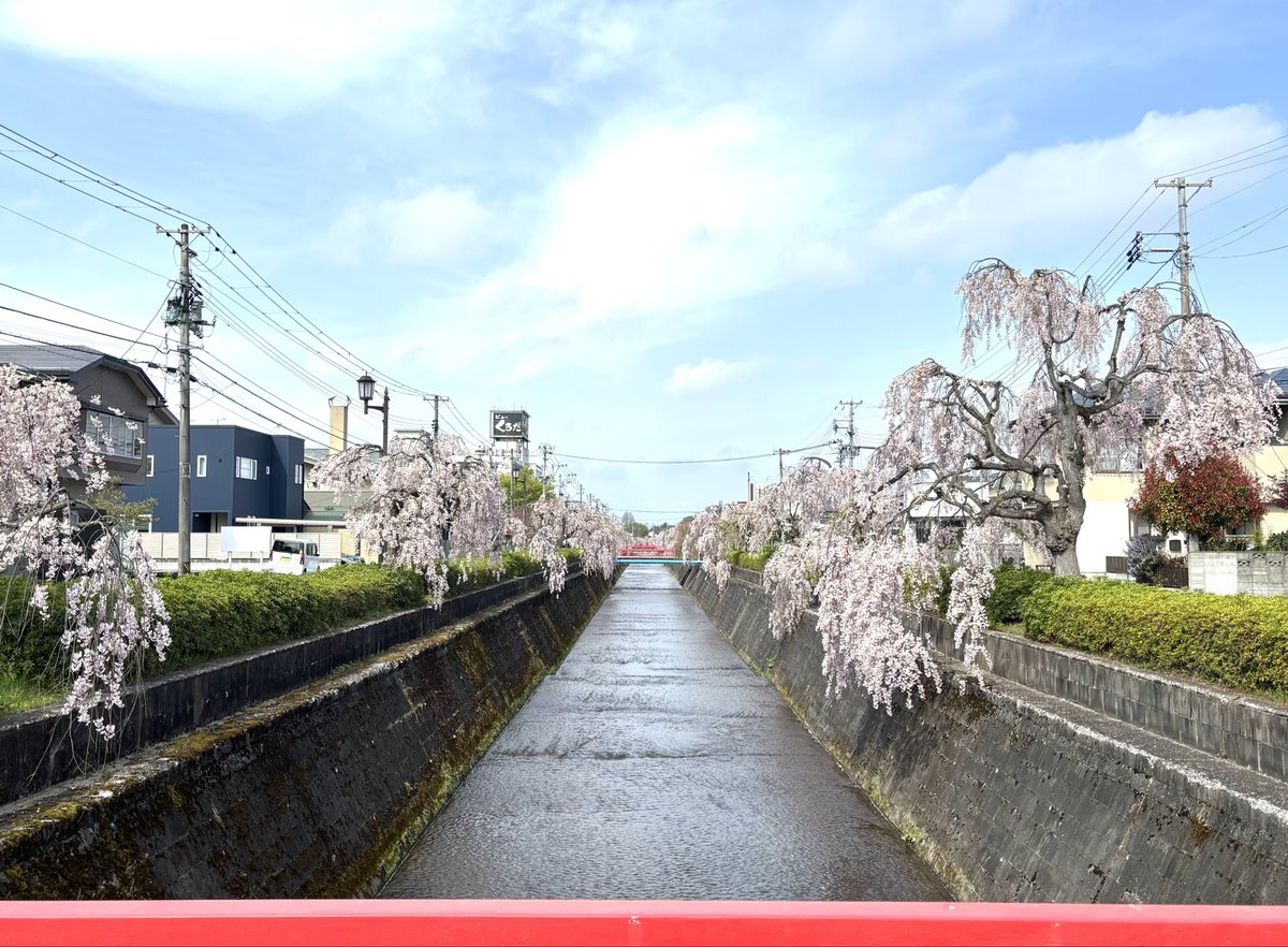 ぬこどん tweet media