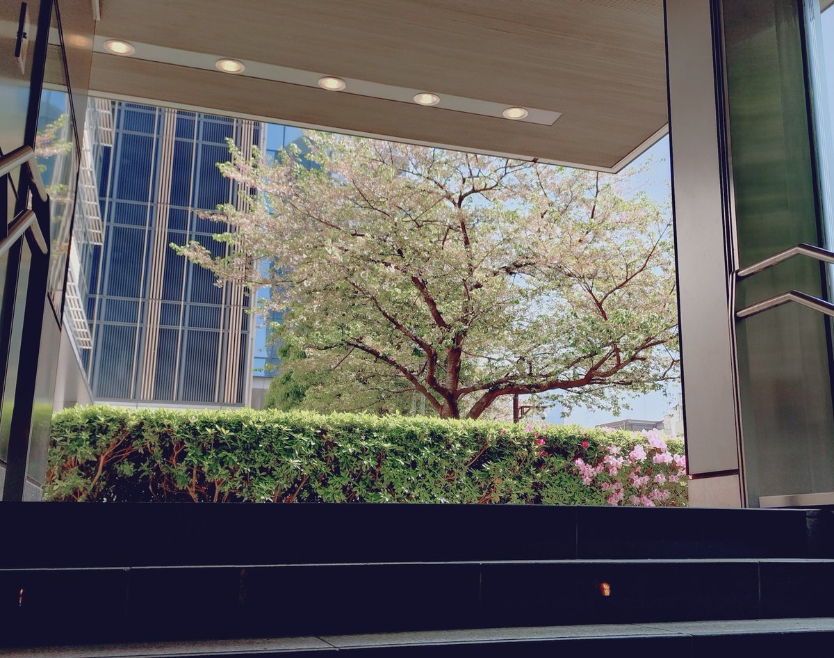 上住谷 崇（声優 Uezumiya Takashi） tweet media