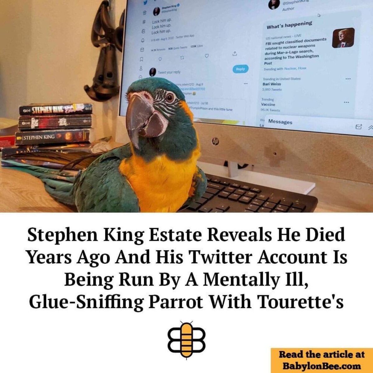 B0BTenS0 tweet media