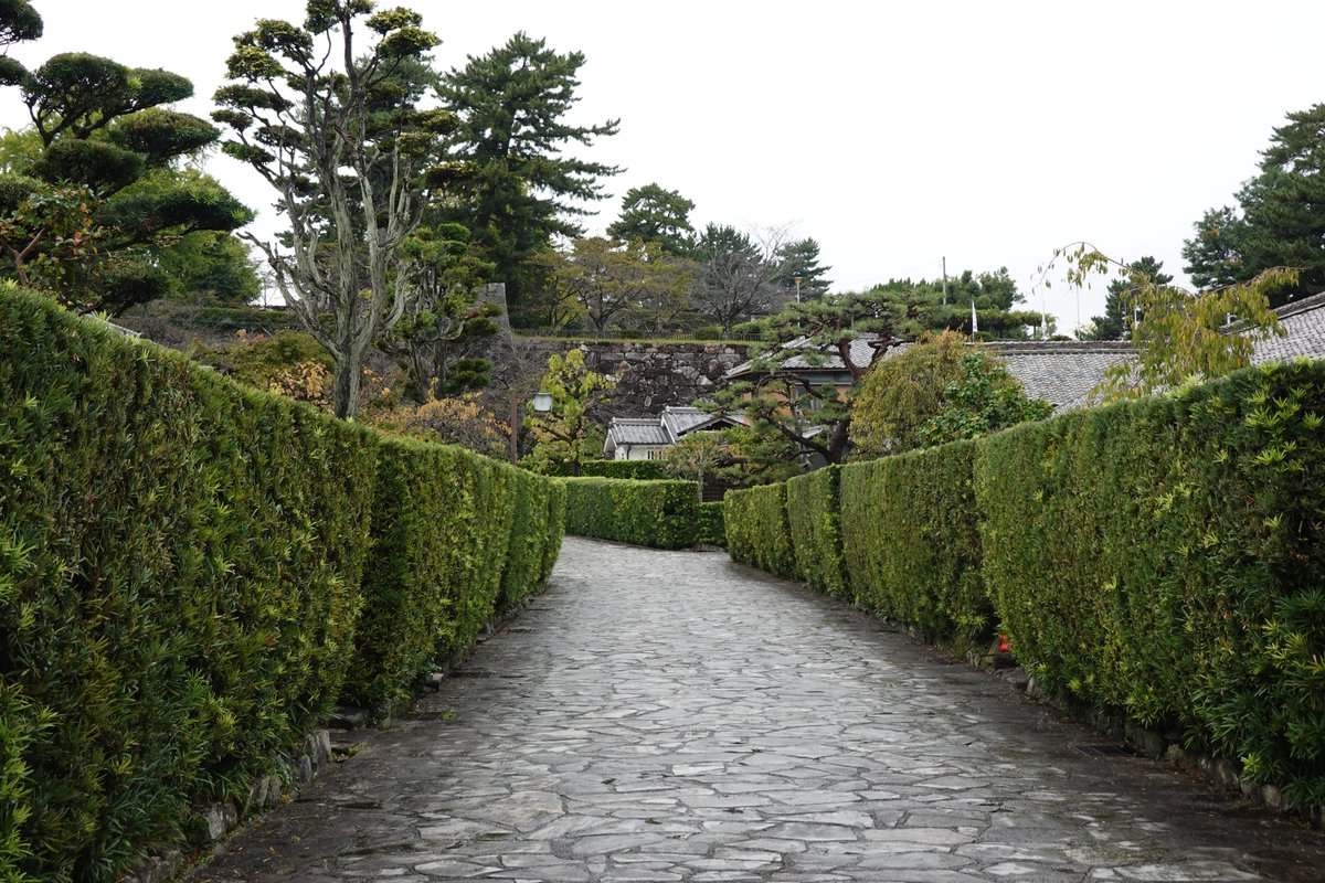 三重の文化 tweet media