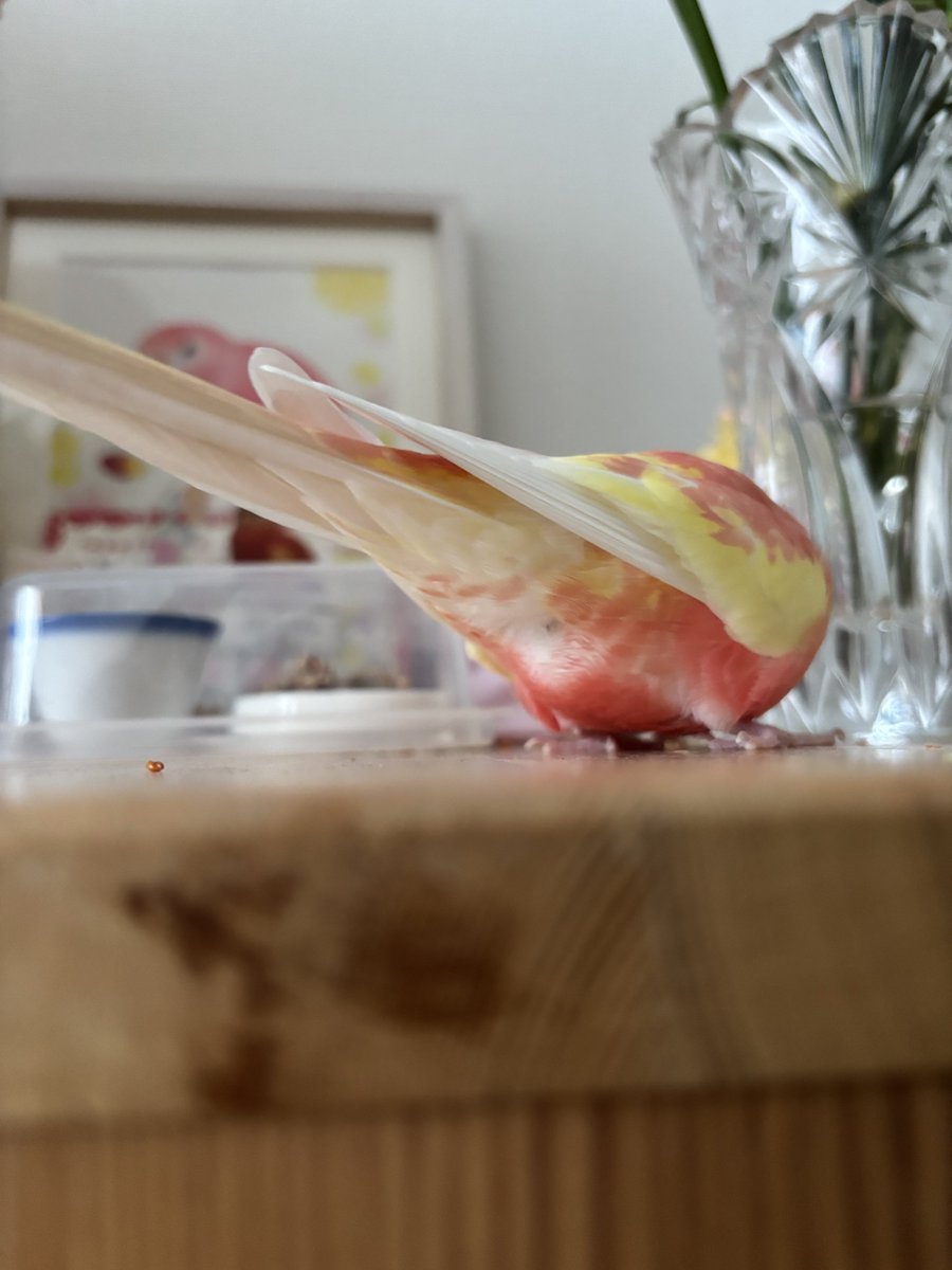 かやっち tweet media