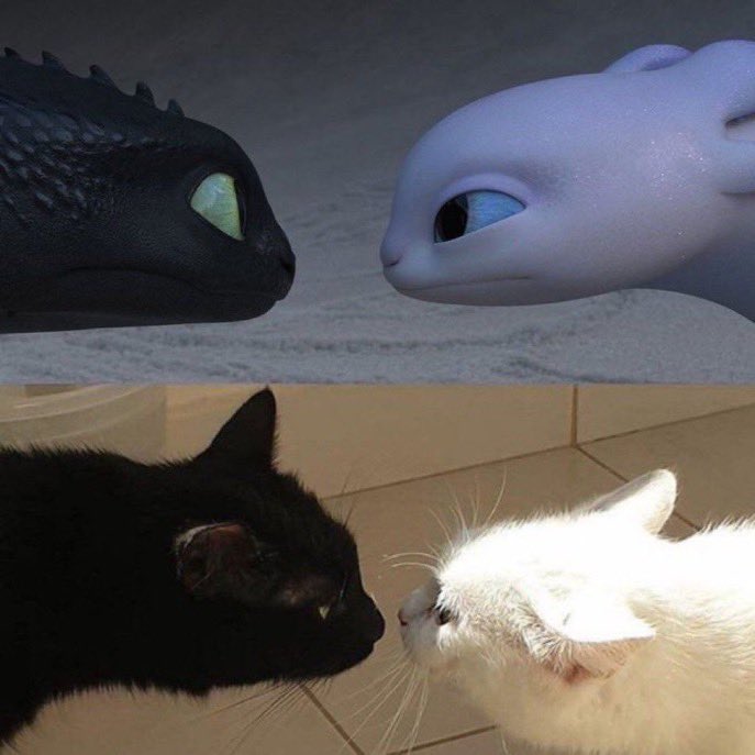 beraber gözlerindeki ay dinlediğimiz kızla