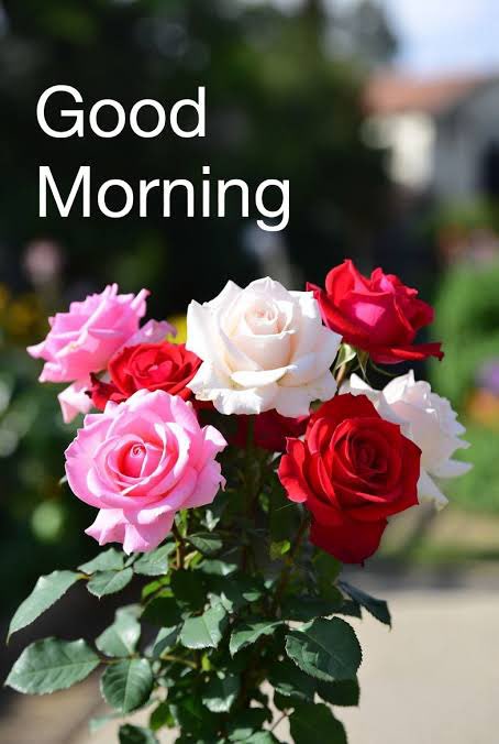 PM_Narendhar's tweet image. 🕉️ Shirdi SaiBaba Says 🕉️ 
As morning breaks, the door to a brighter future swings open. Prepare for a day of profound transformation and unexpected wonders.
#SaiBaba #Goodmorning Happy Baba's Day