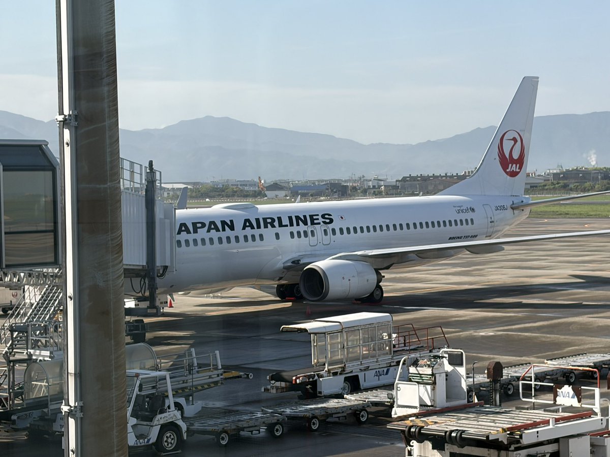 SFC代表 tweet media