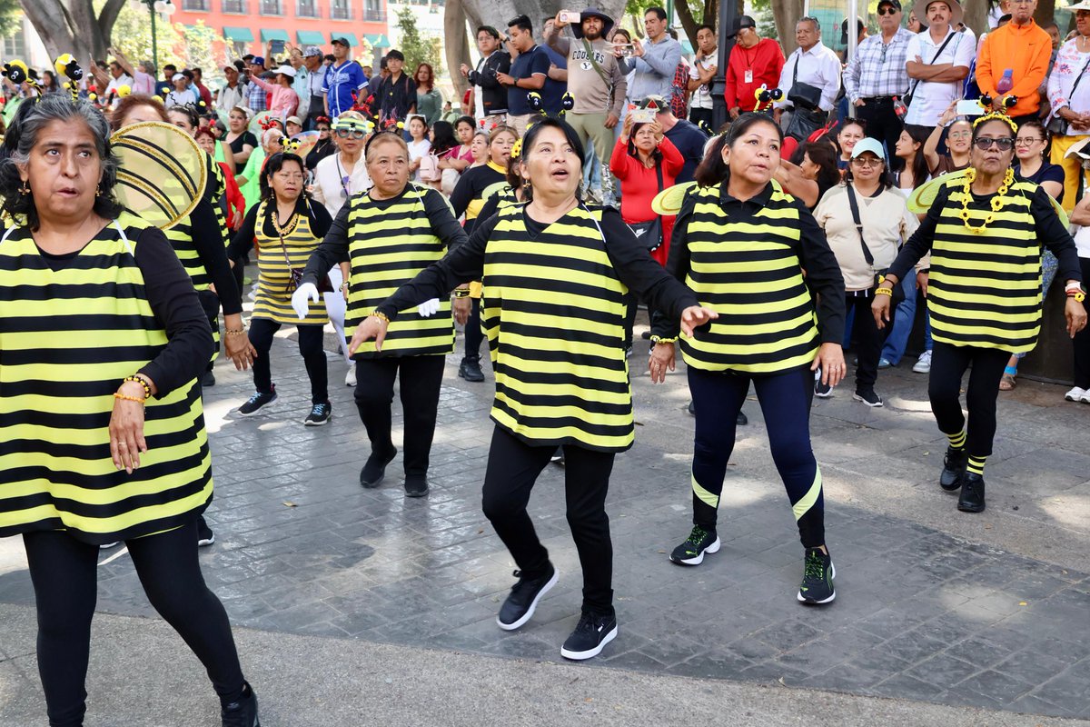 noticiasefecto's tweet image. 📌#Capital. Con el Zócalo lleno de alegría, colores y movimiento, el @PueblaAyto , realizó una activación física masiva en la que participaron más de 900 niñas, niños, jóvenes, adultos y adultos mayores, para festejar a la niñez.
@pepechedrauimx

📎efecocomunicacion.com/realiza-gobier…