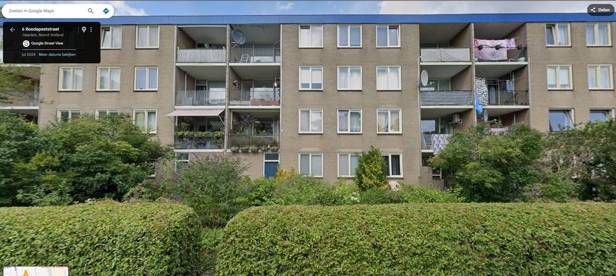 Mirjam152 tweet media