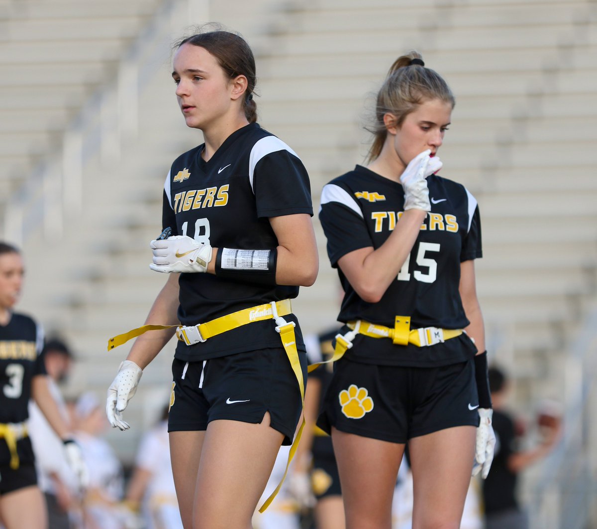 NATigers tweet media