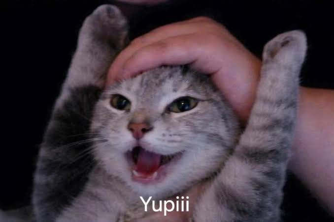 Deviatesalt7's tweet photo. @VampLovex_ Elfen lied y mirai nikki https://t.co/O8wjRSJEUc