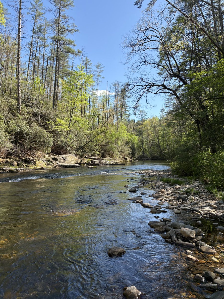 WolfeSC7's tweet image. Taking in the breathtaking views of Upstate SC, and catching a few trout along the way! #southcarolina #trout #flyfishing