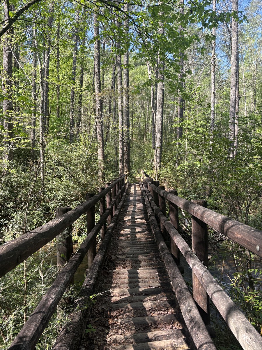 WolfeSC7's tweet image. Taking in the breathtaking views of Upstate SC, and catching a few trout along the way! #southcarolina #trout #flyfishing