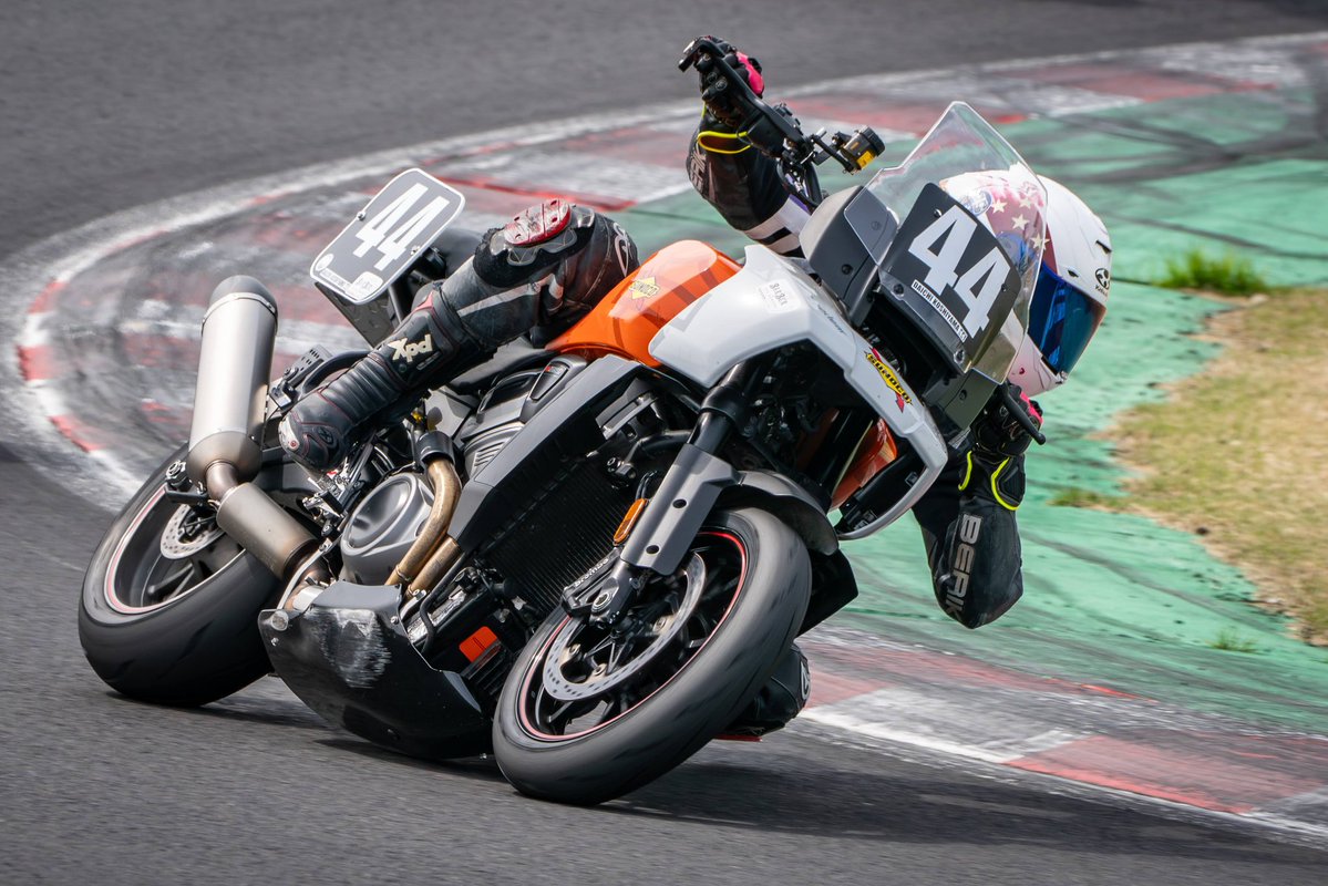 抹茶いぬ tweet media