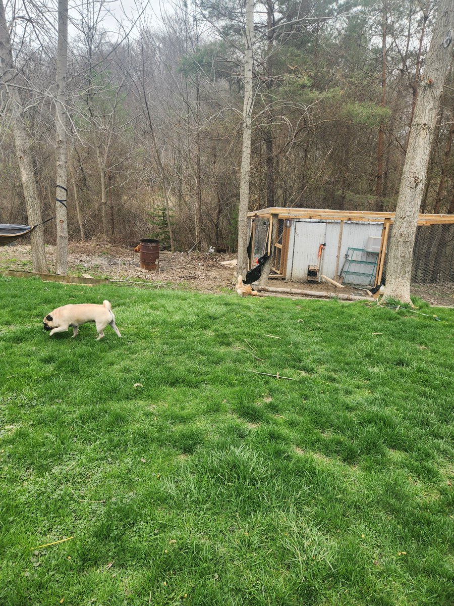 Fringe Community guy tweet media