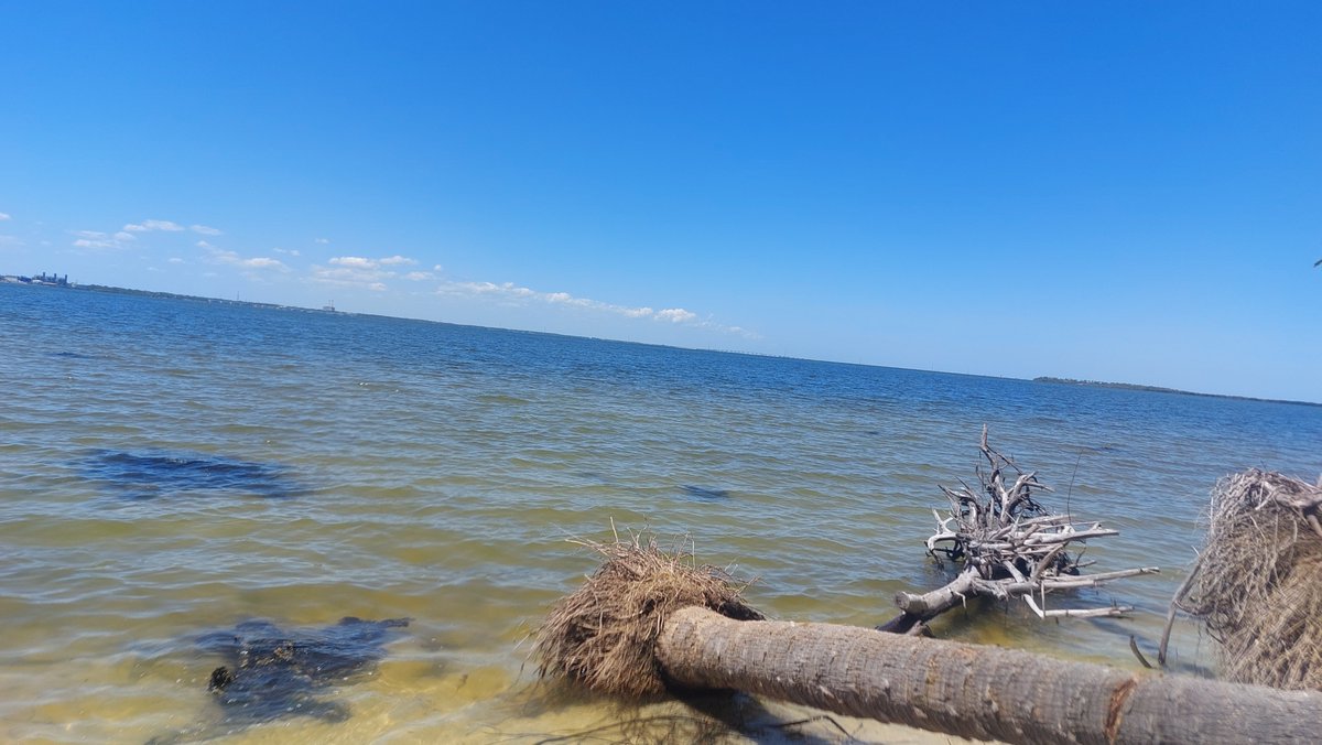 Captain1067628's tweet image. #kayak #florida #beach