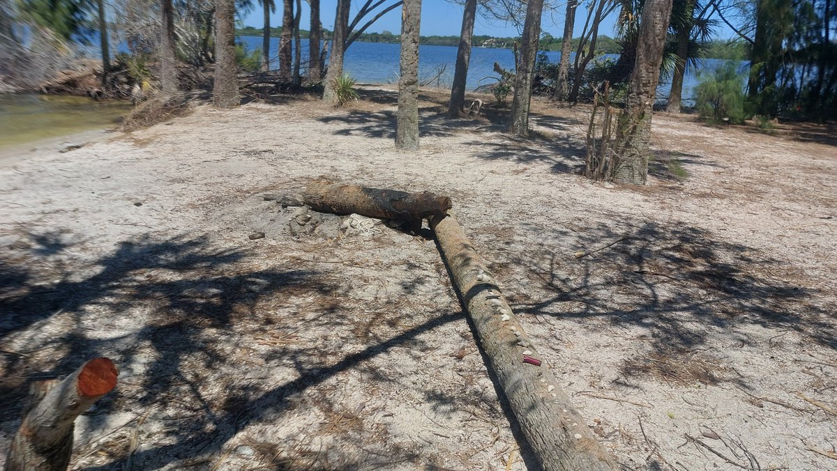 Captain1067628's tweet image. #kayak #florida #beach