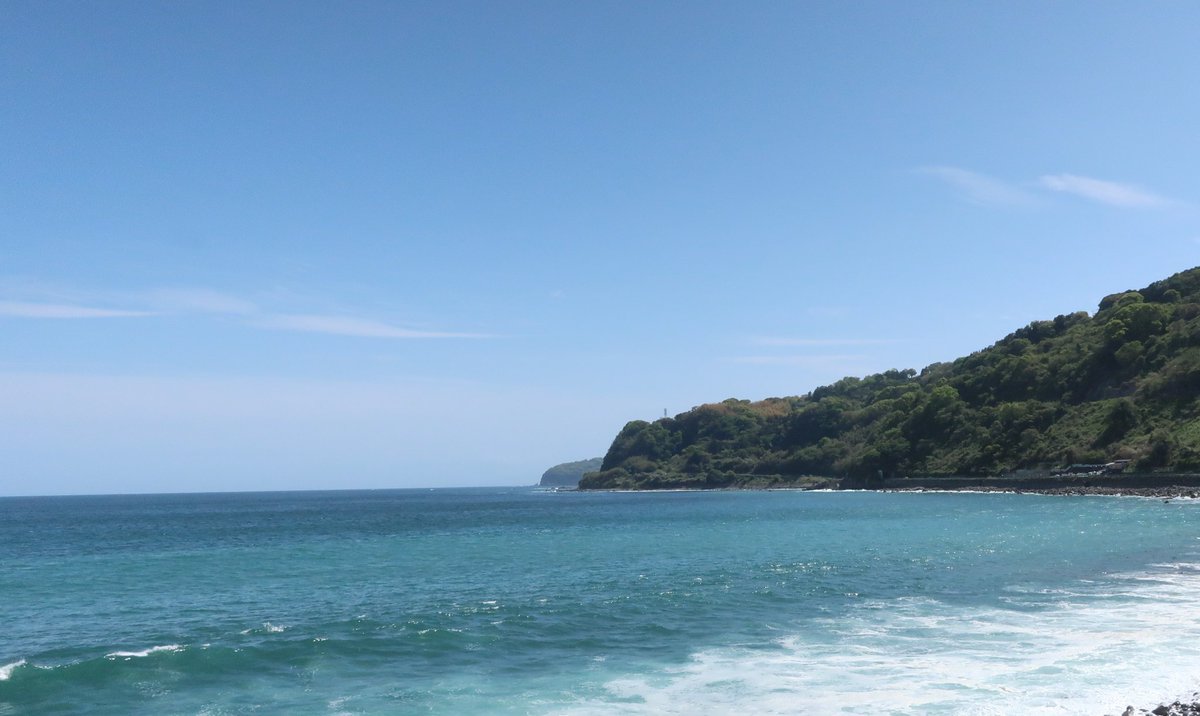 秋桜🇯🇵(コスモス) tweet media