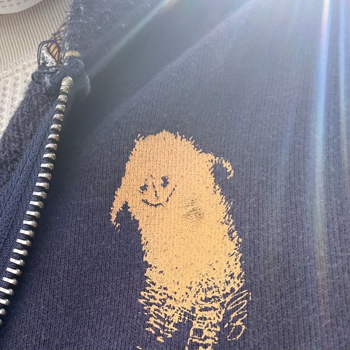 くま🌾👻 tweet media