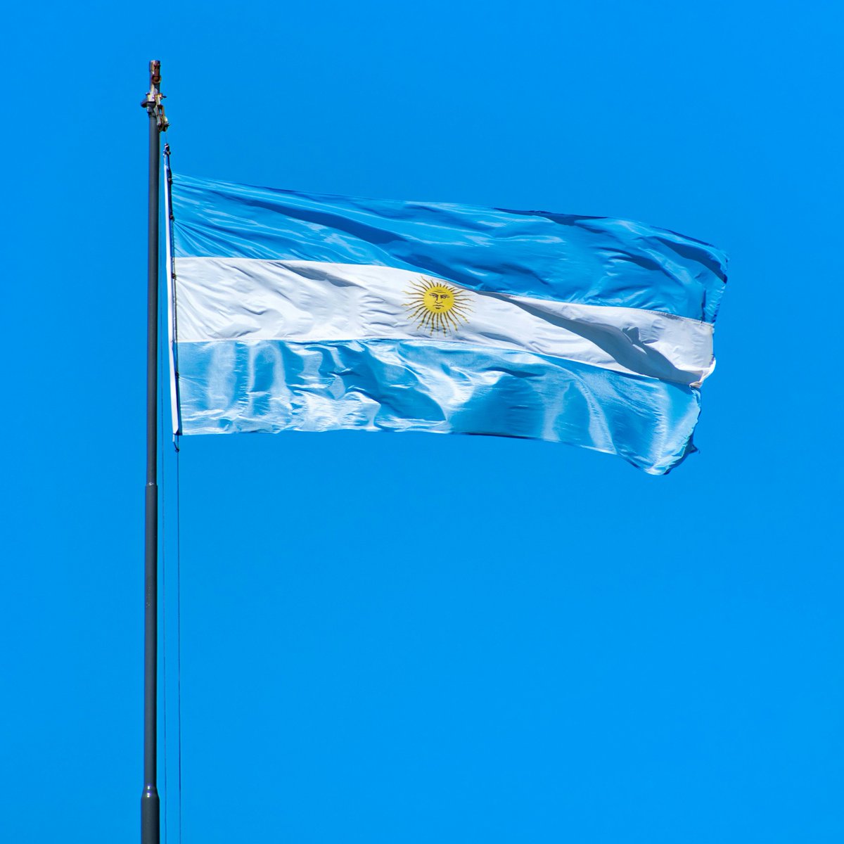 Jackson Hinkle 🇺🇸 tweet media