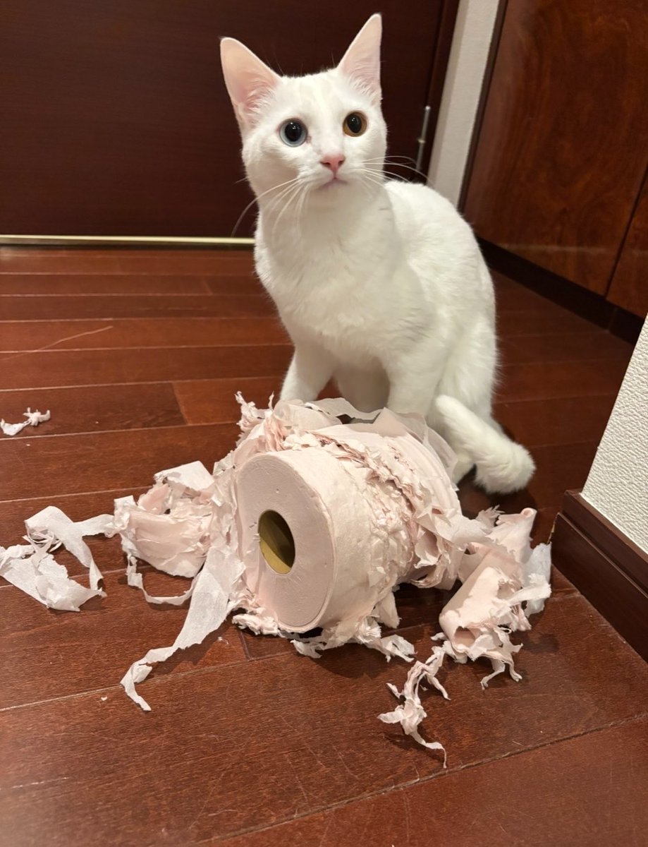 キムチ母‼️ tweet media