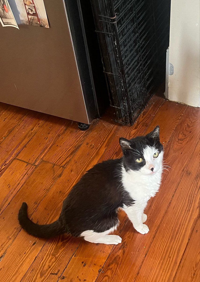 blair (abolishun type) tweet media