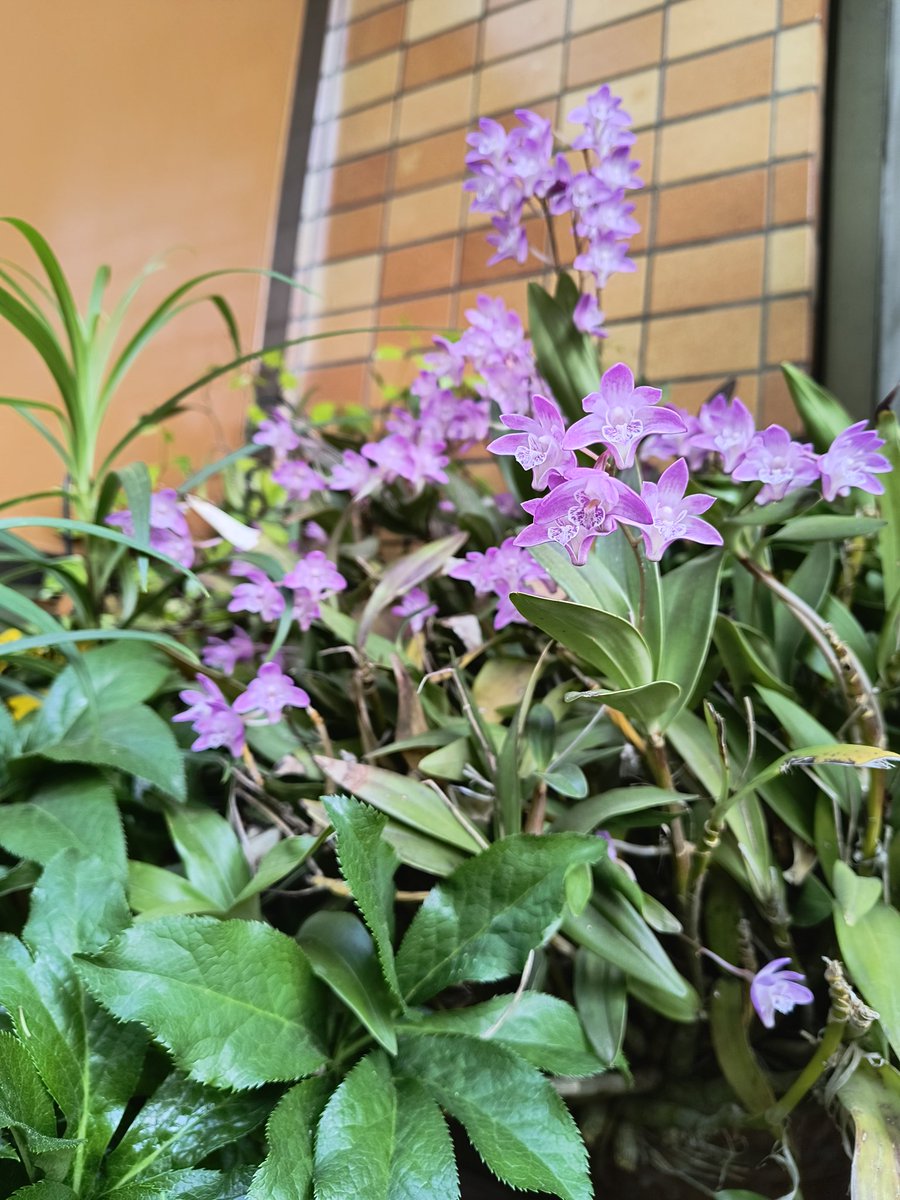 aakemiy07 tweet media