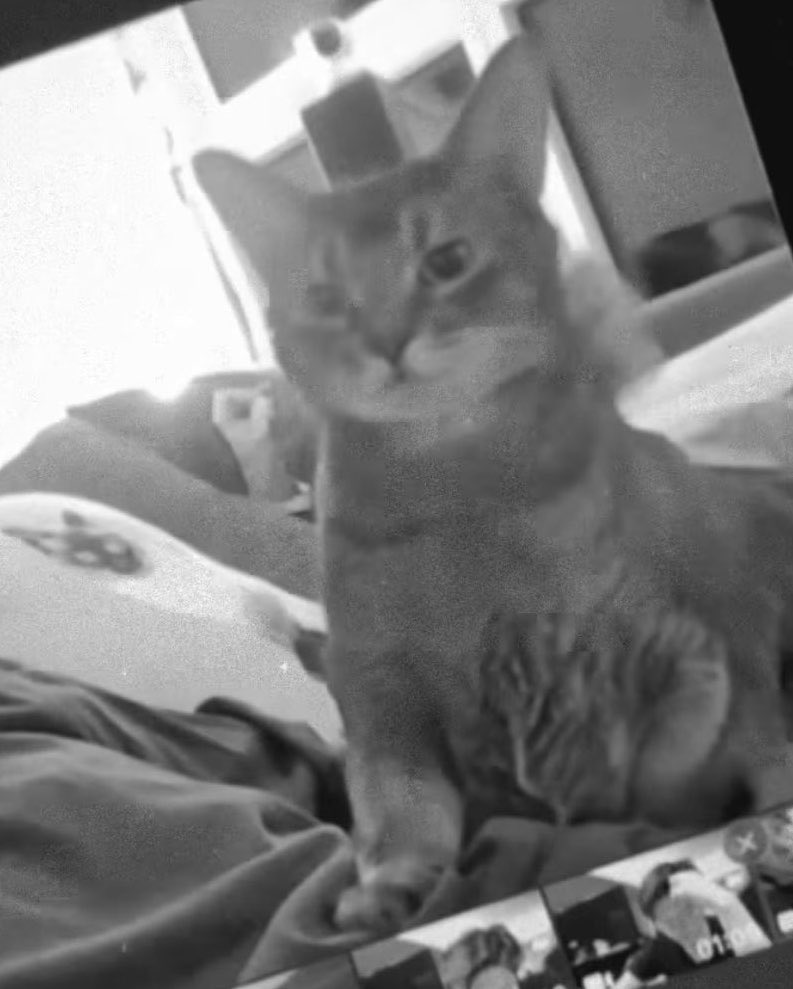 😍😝😍😝 10vely human tweet media