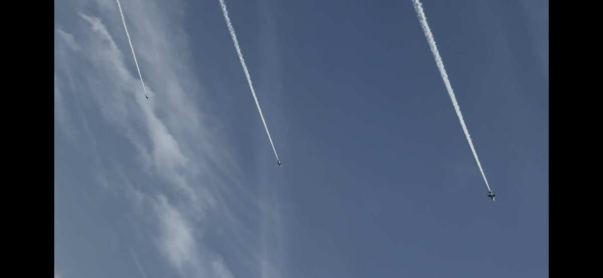 鳥望 羚🦌 tweet media