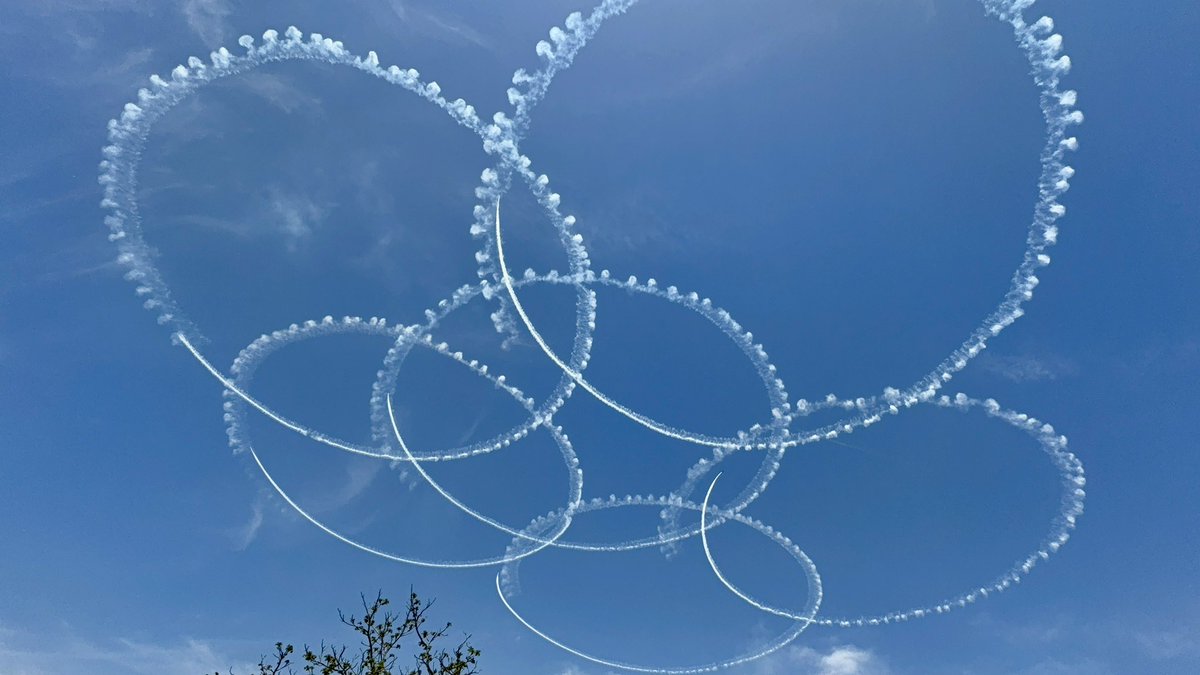 鳥望 羚🦌 tweet media