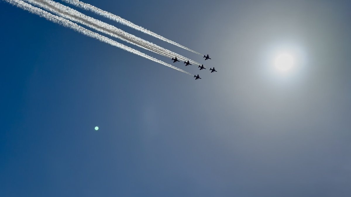 鳥望 羚🦌 tweet media