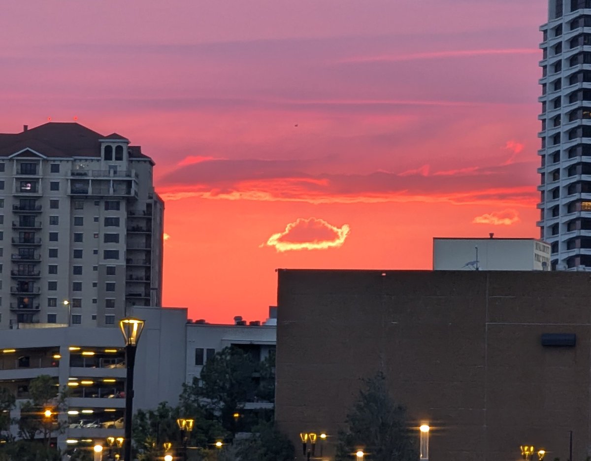 coinhunt_hound's tweet image. Sunset 🌇 

#Florida #Jacksonville