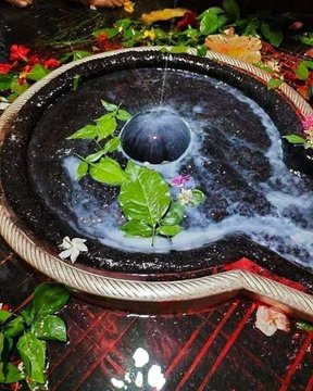 SP Mishra tweet media