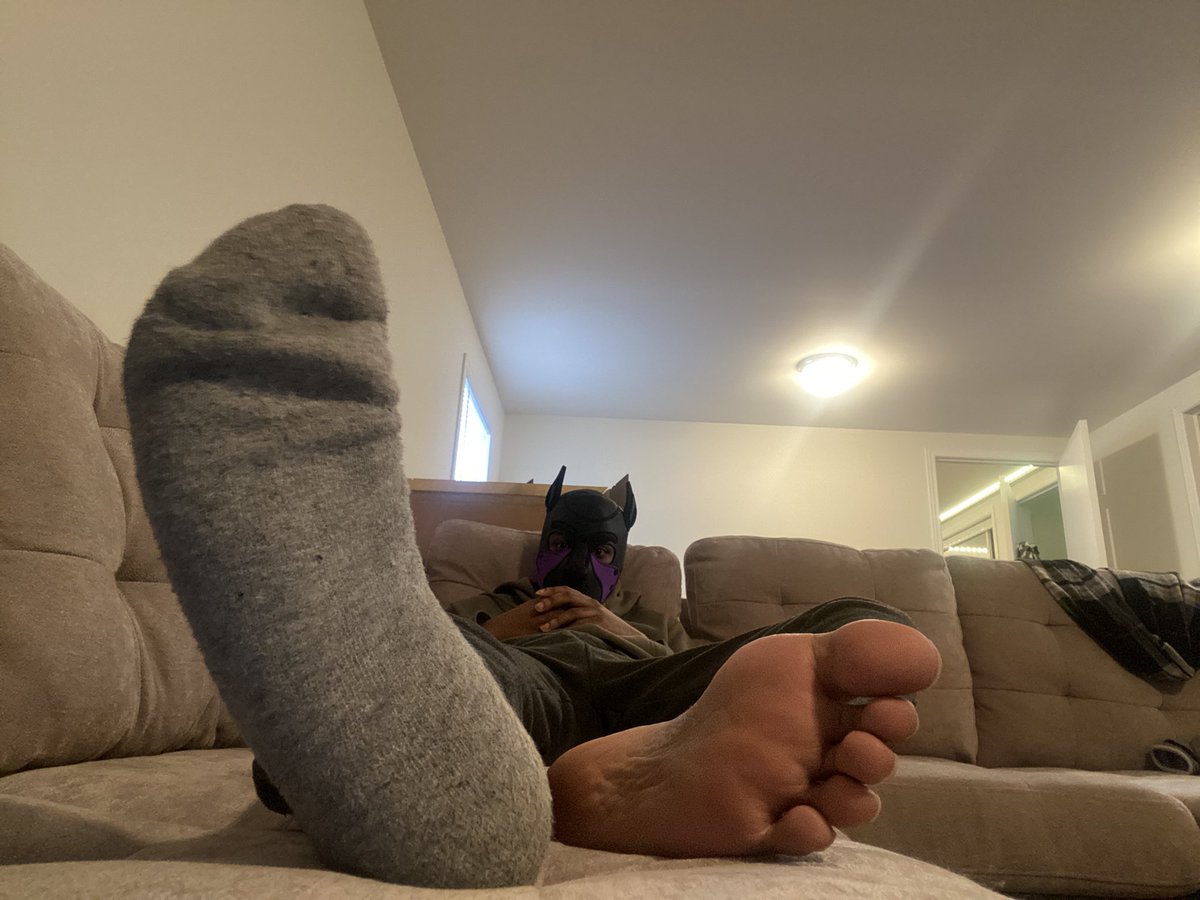 GarBear 🇨🇦 tweet media