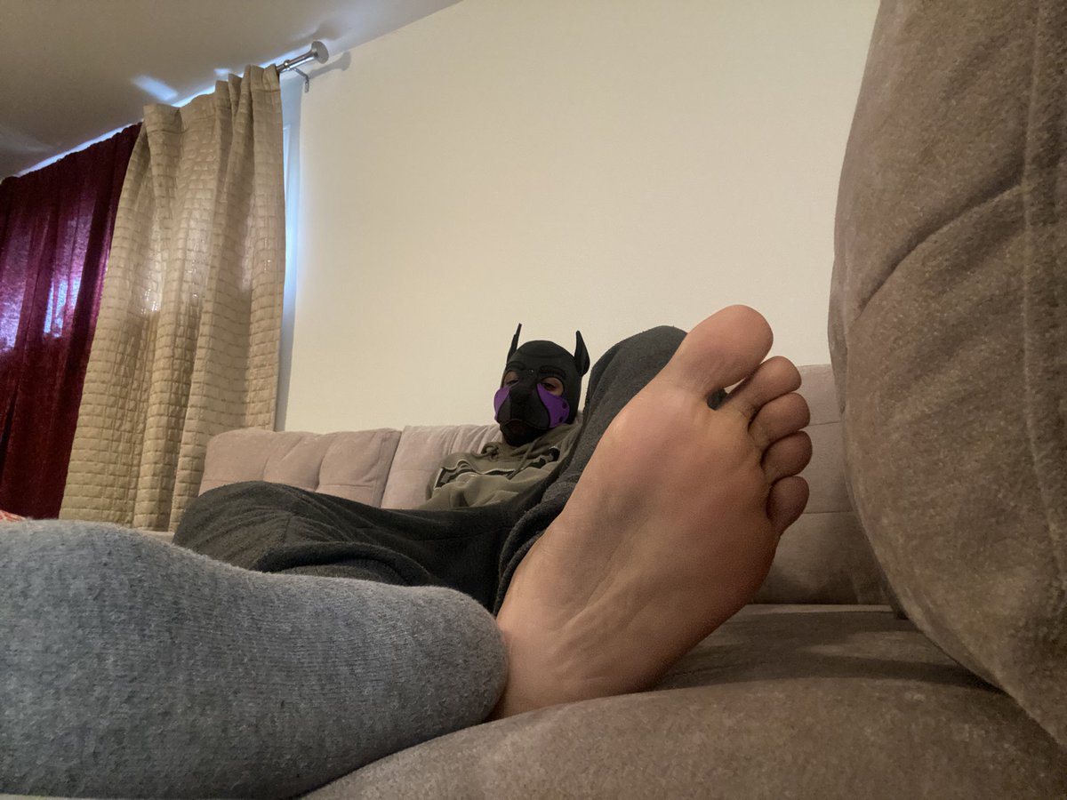 GarBear 🇨🇦 tweet media