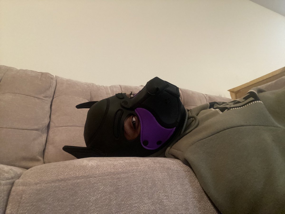 GarBear 🇨🇦 tweet media