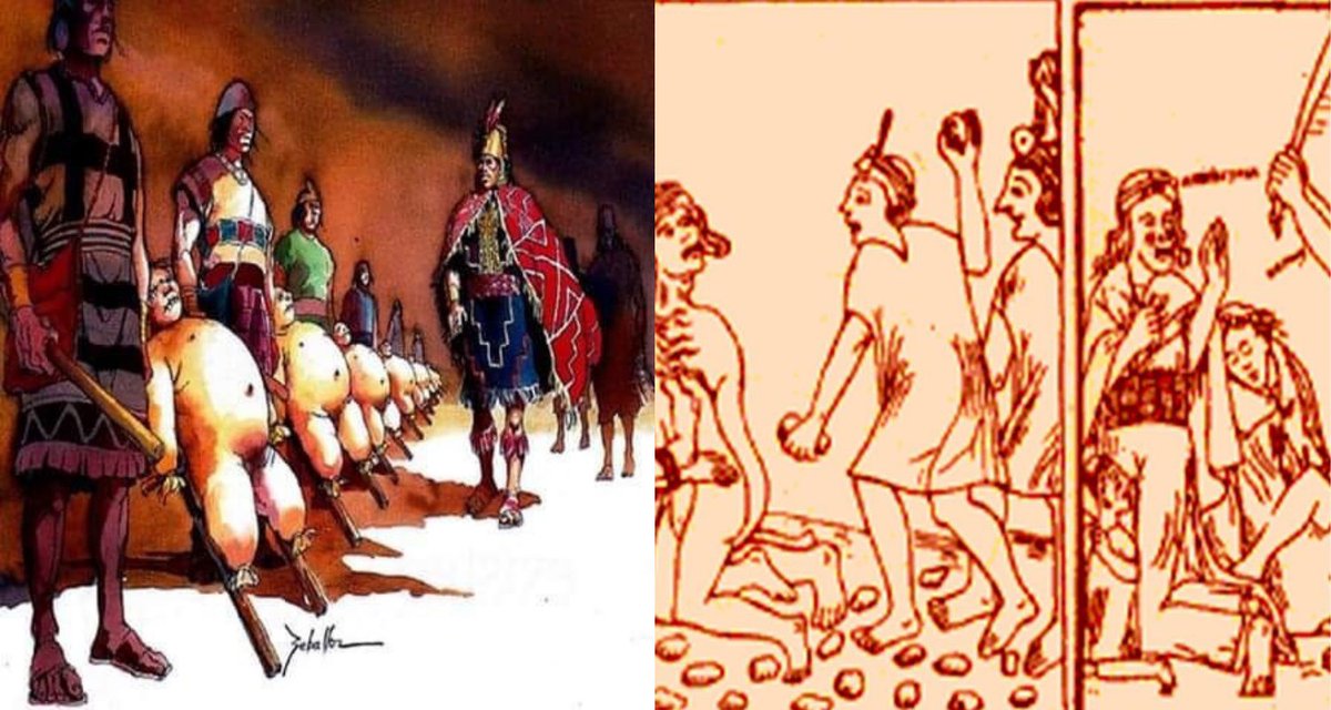 Global News 24 tweet media