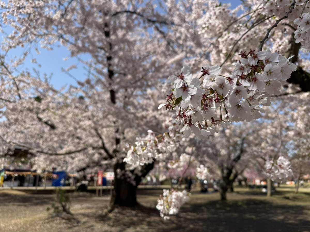 綴煕:てつき tweet media