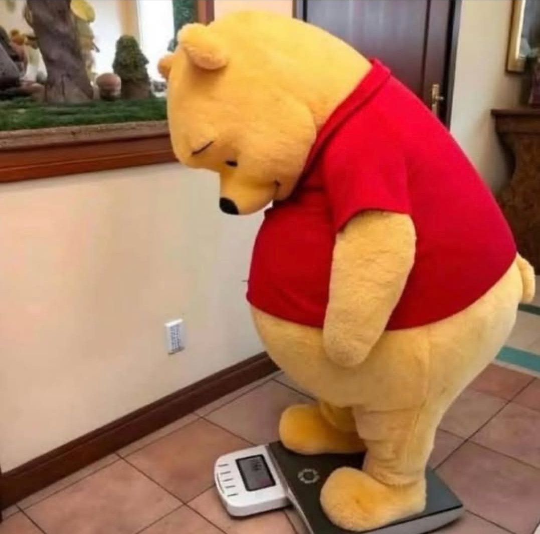 Gorda insegura tweet media