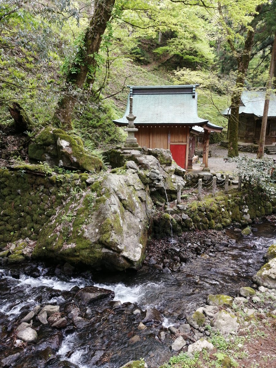 三月病患者 tweet media