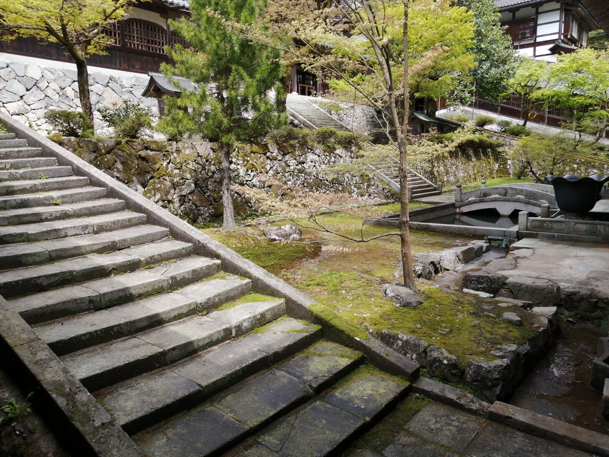 三月病患者 tweet media