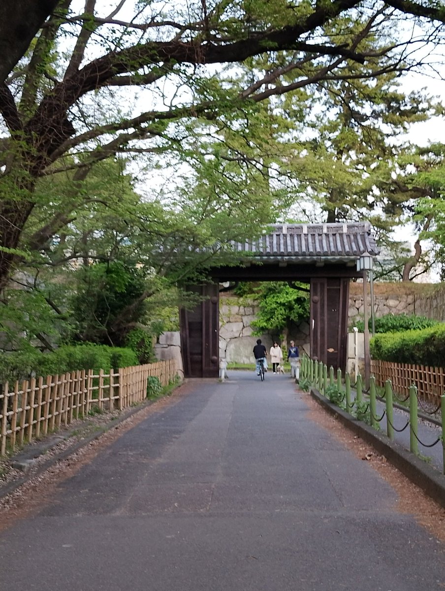 ネムノキ　🌹🌿🏵️🍀🌺💚 tweet media